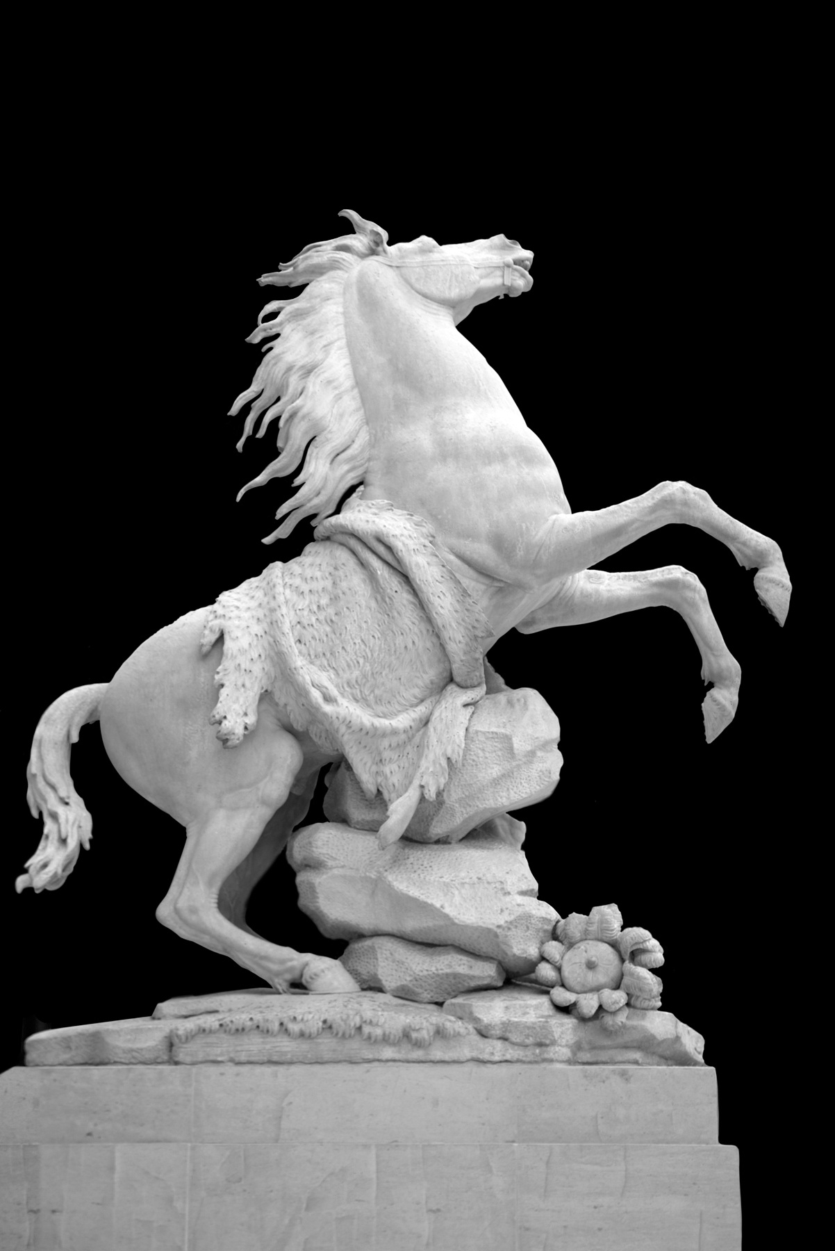 AL05337