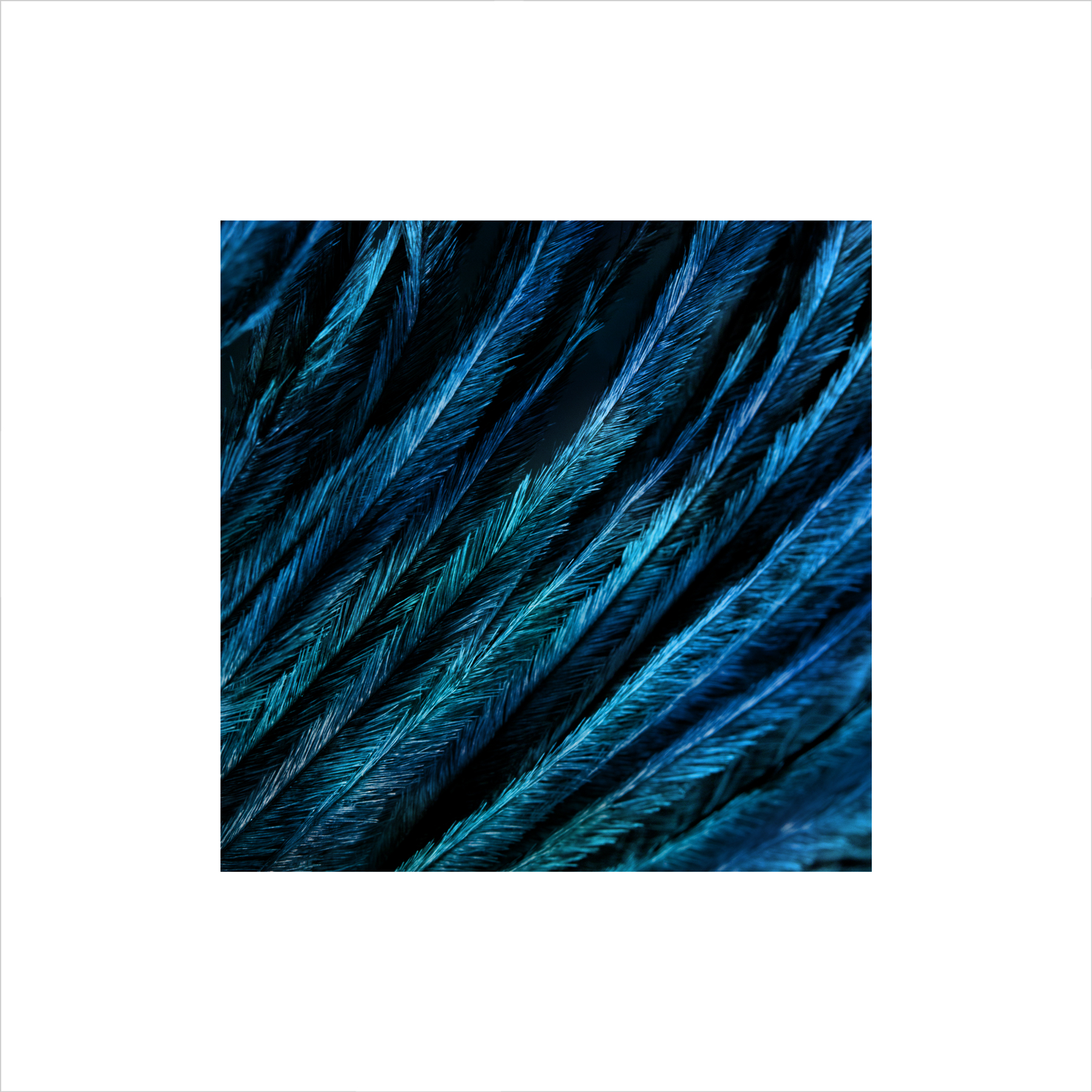AL05520 more colors