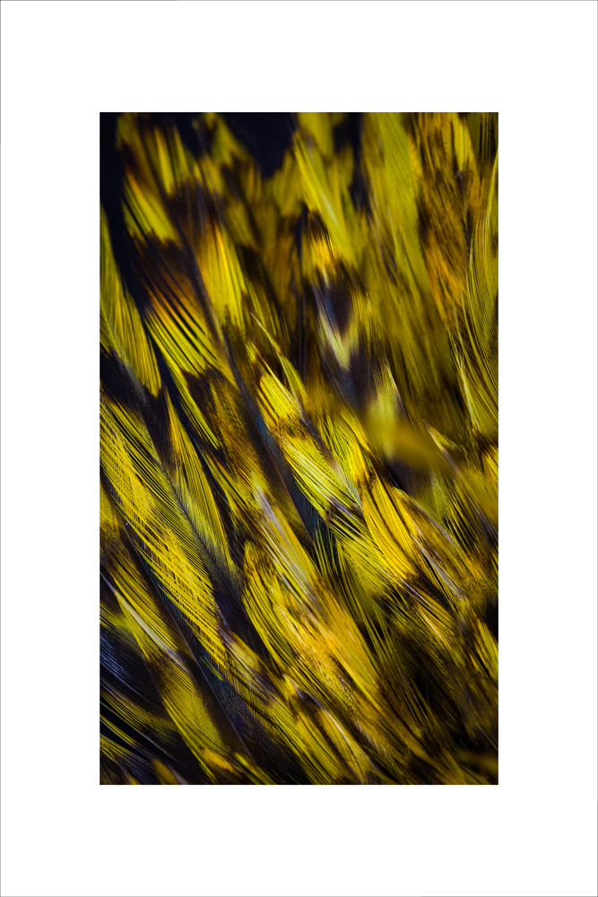 AL05531