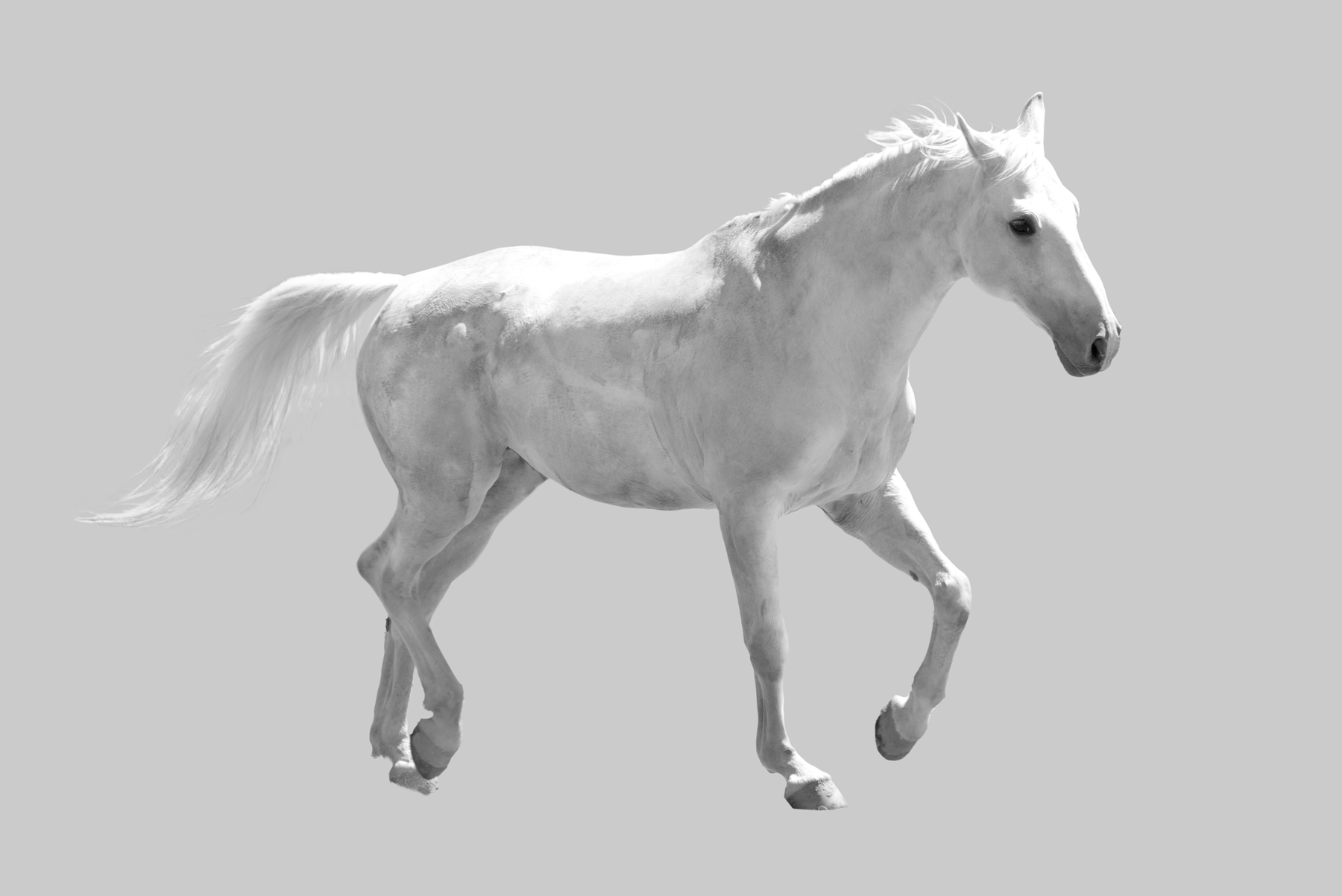 AL05835