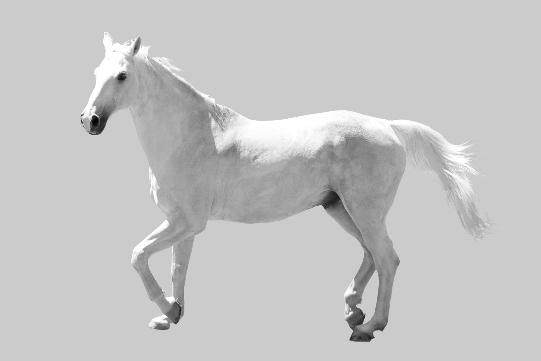 AL05836
