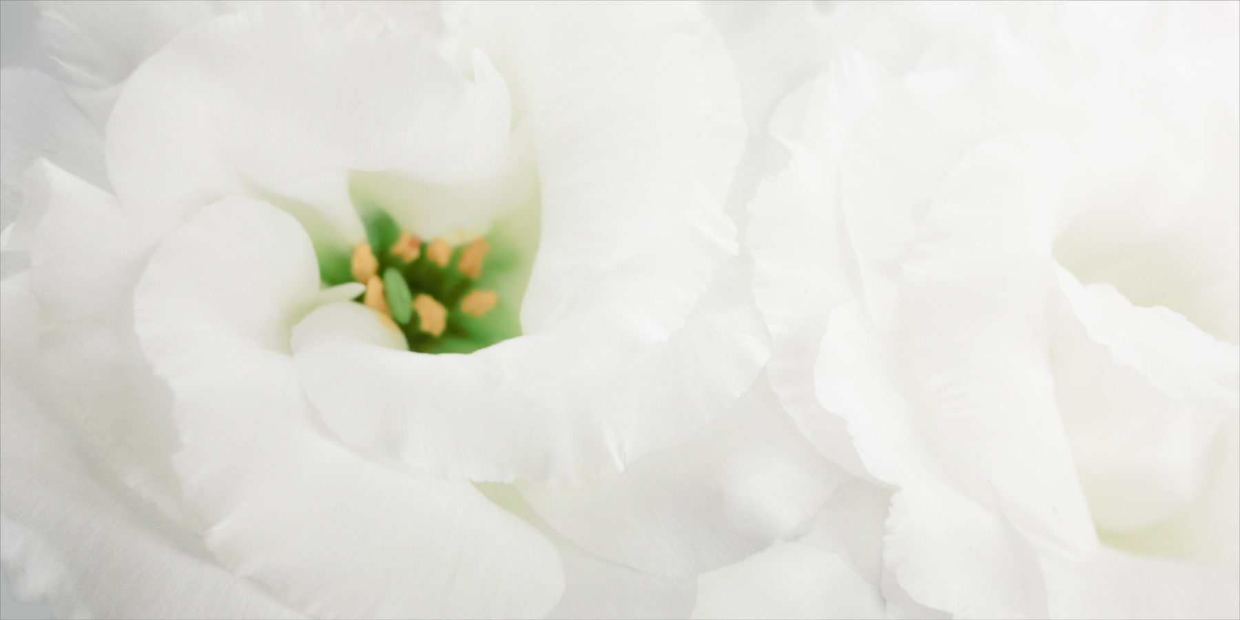 AL05935_FIX