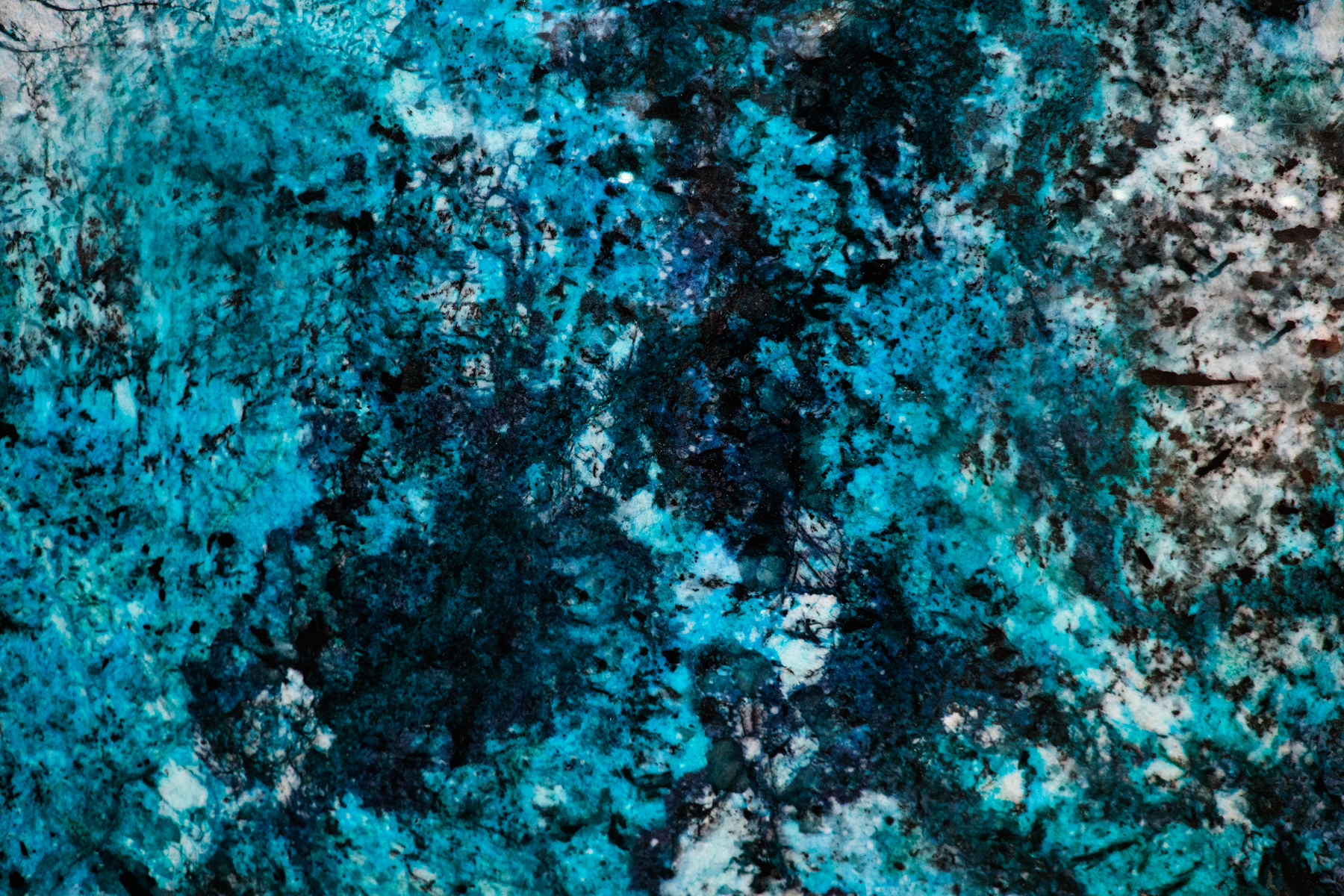 AL05954