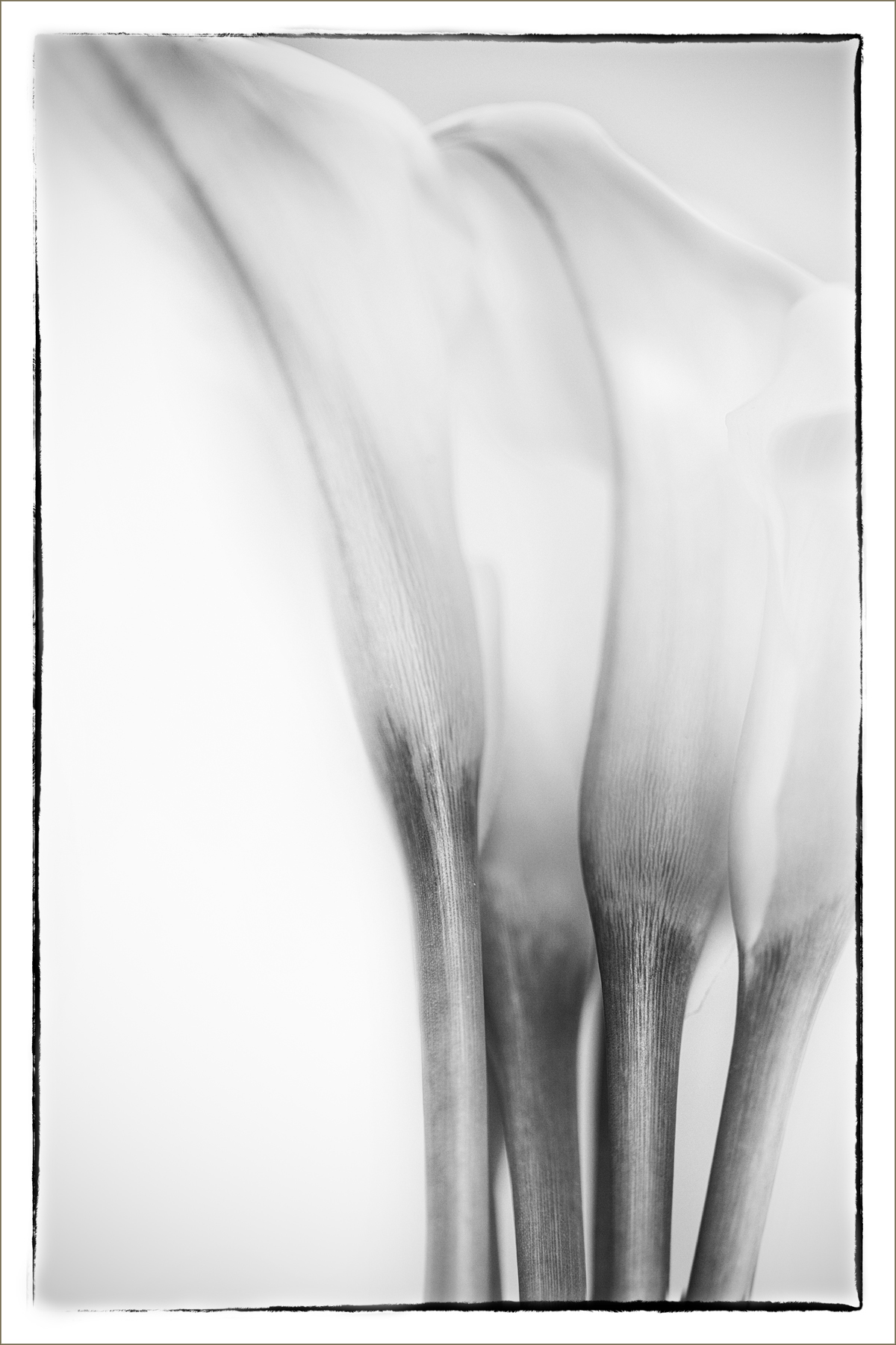 AL00137_FM