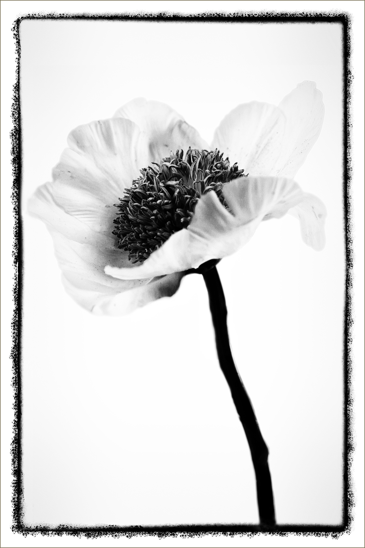 AL01722_FM
