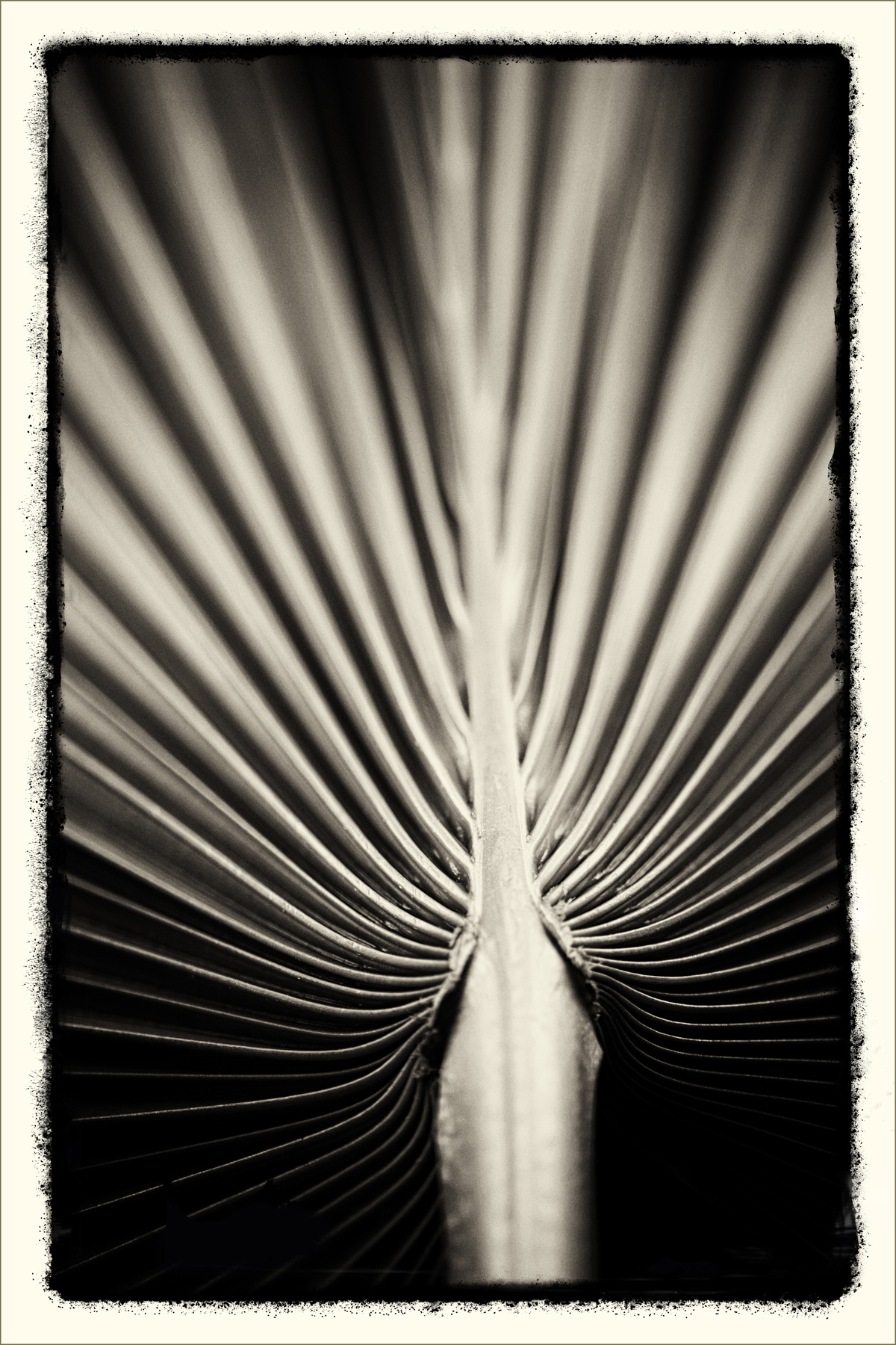 AL05617_FM