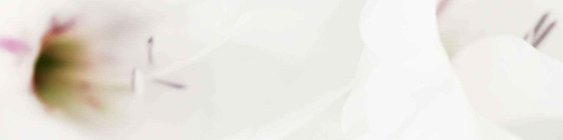 AL05982_24x96