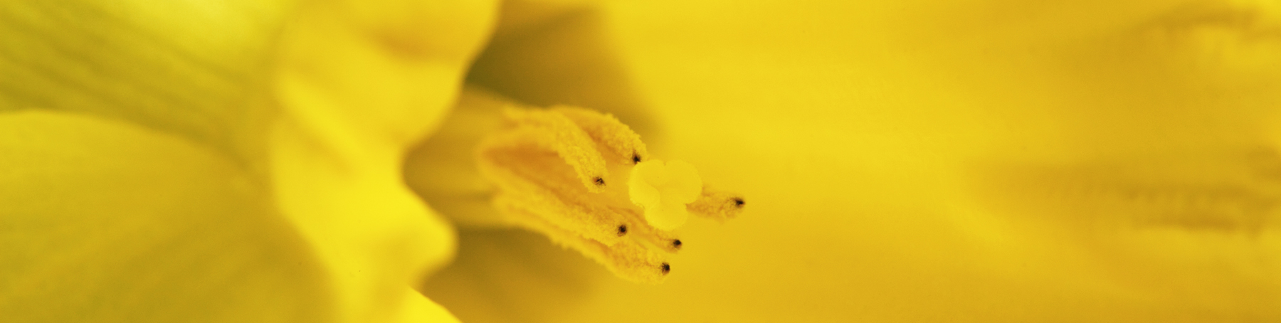 AL06060_24x96