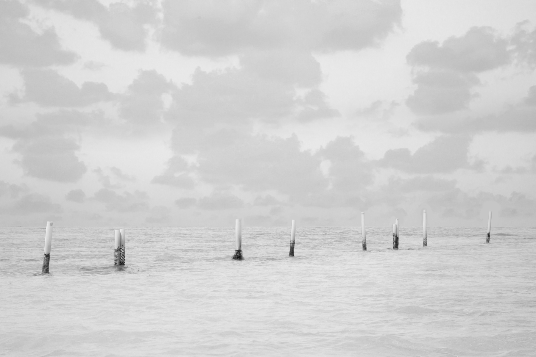 AL06418_LW