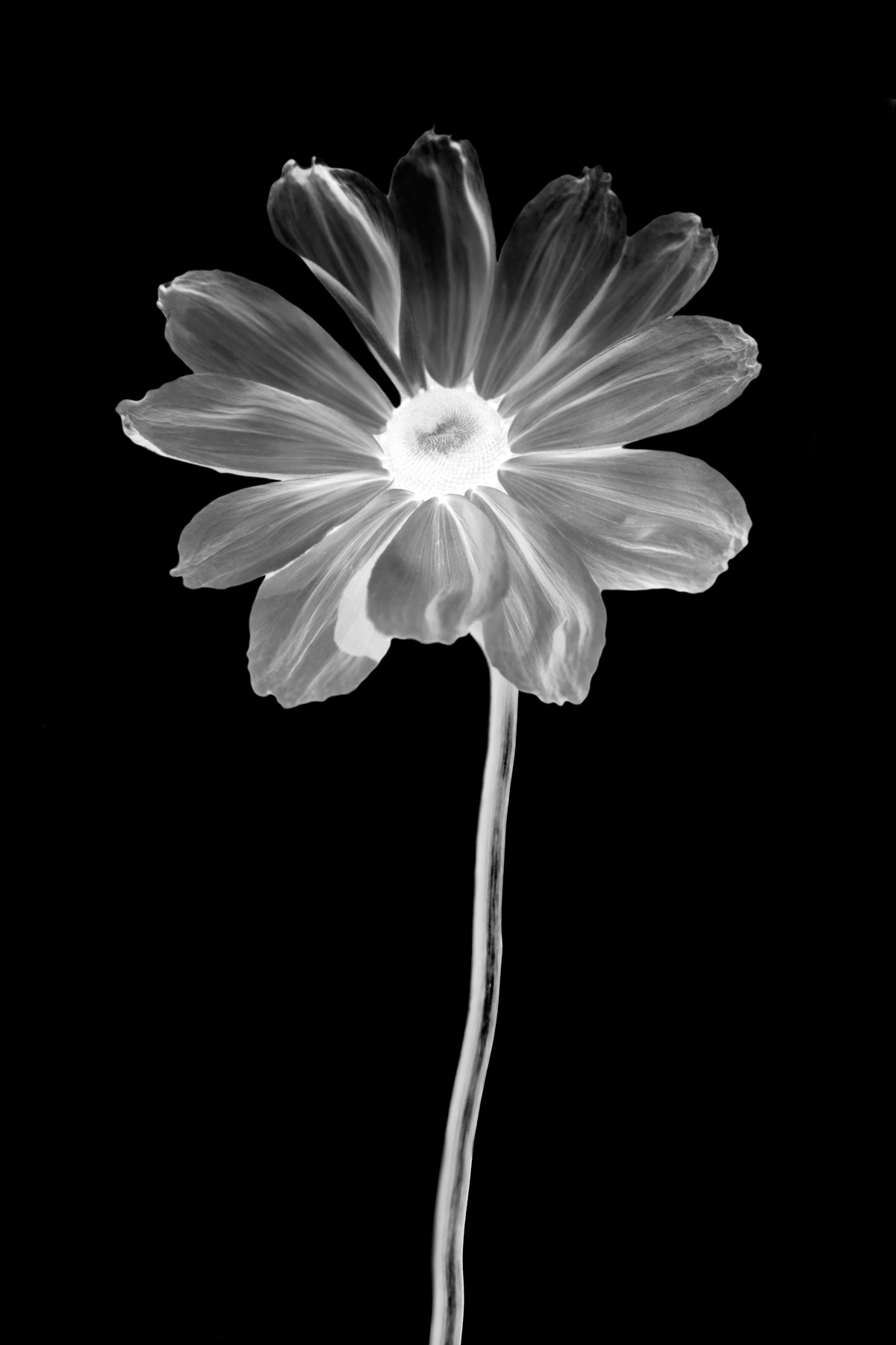 AL03774_IV
