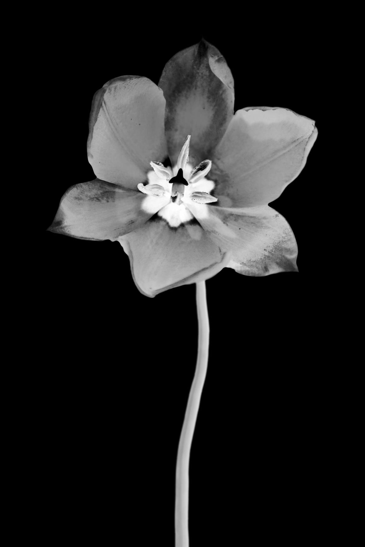 AL03778_IV