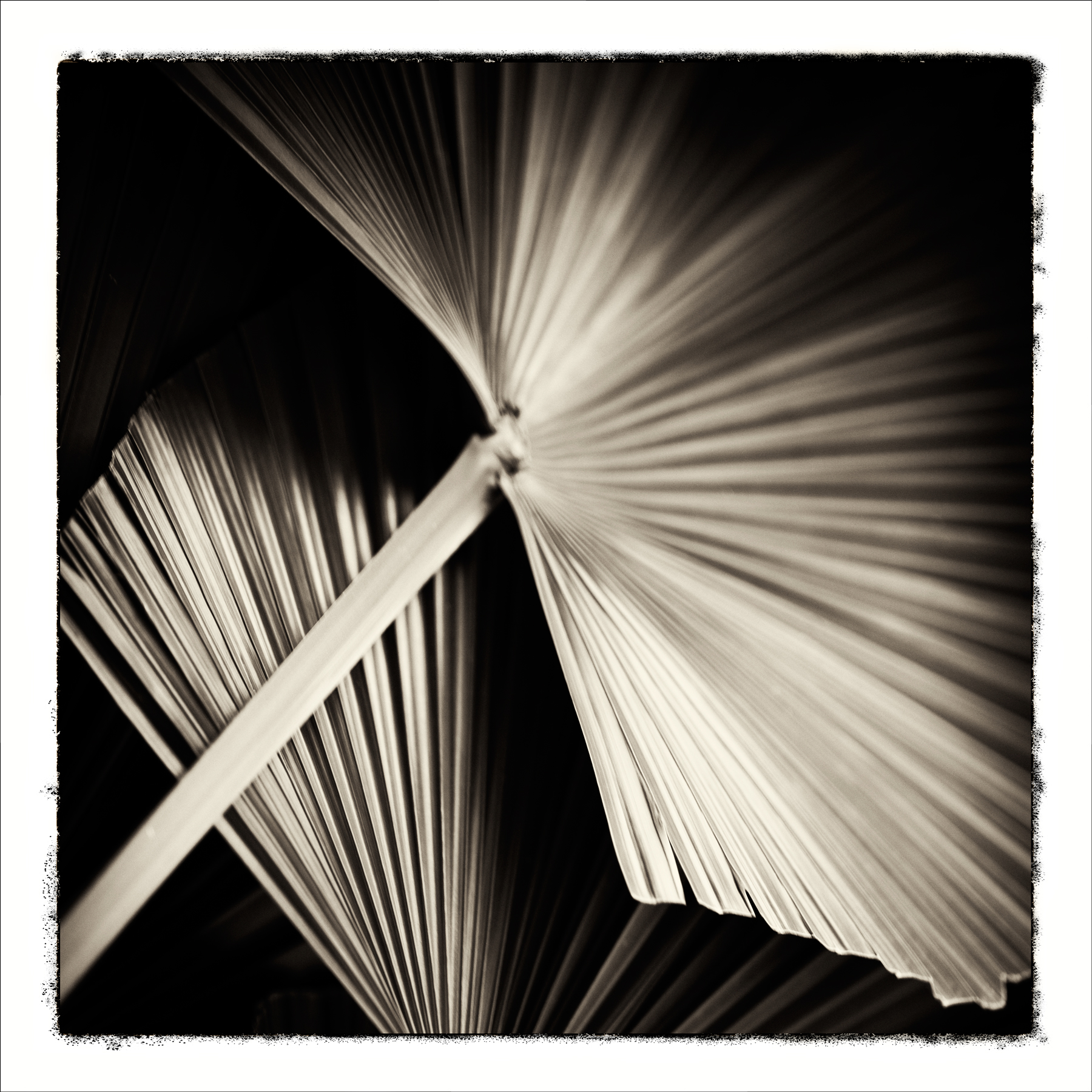 AL05618SQ