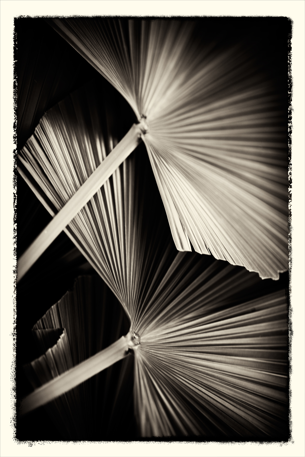 AL05618_FM