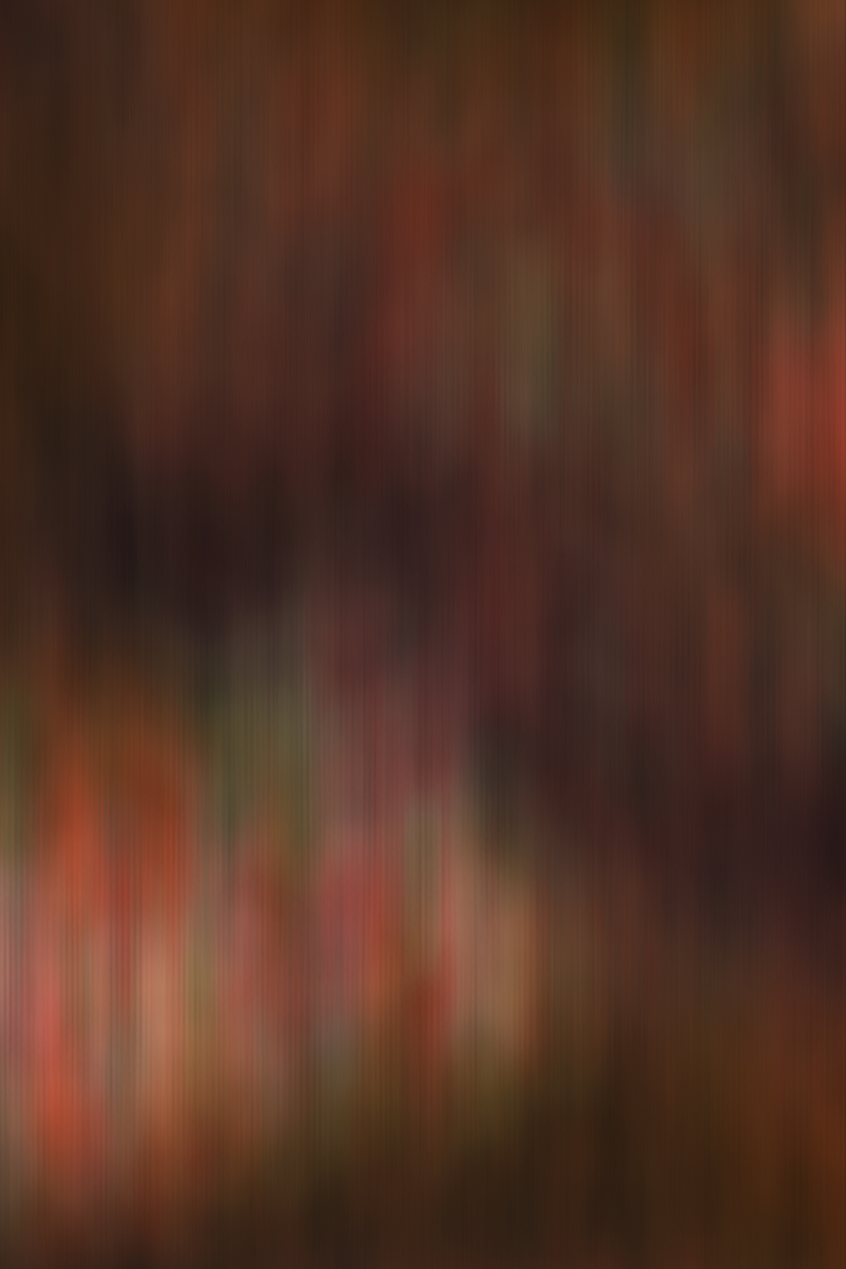 AL07060 (AD02333)