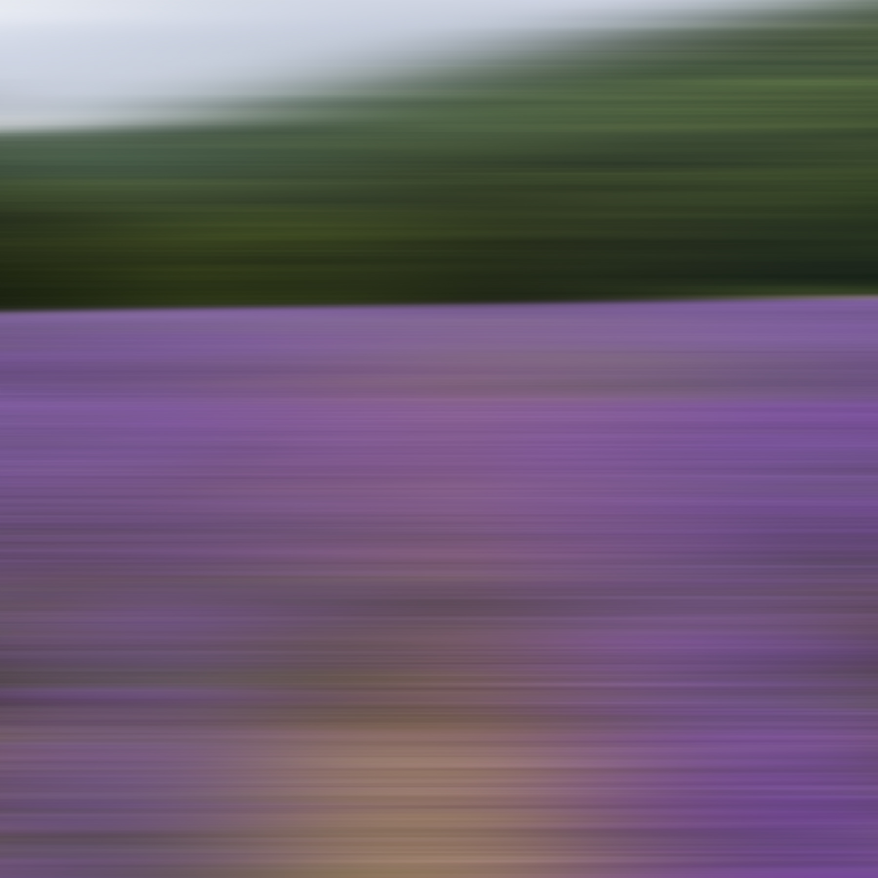 AL07114 (AD02292)