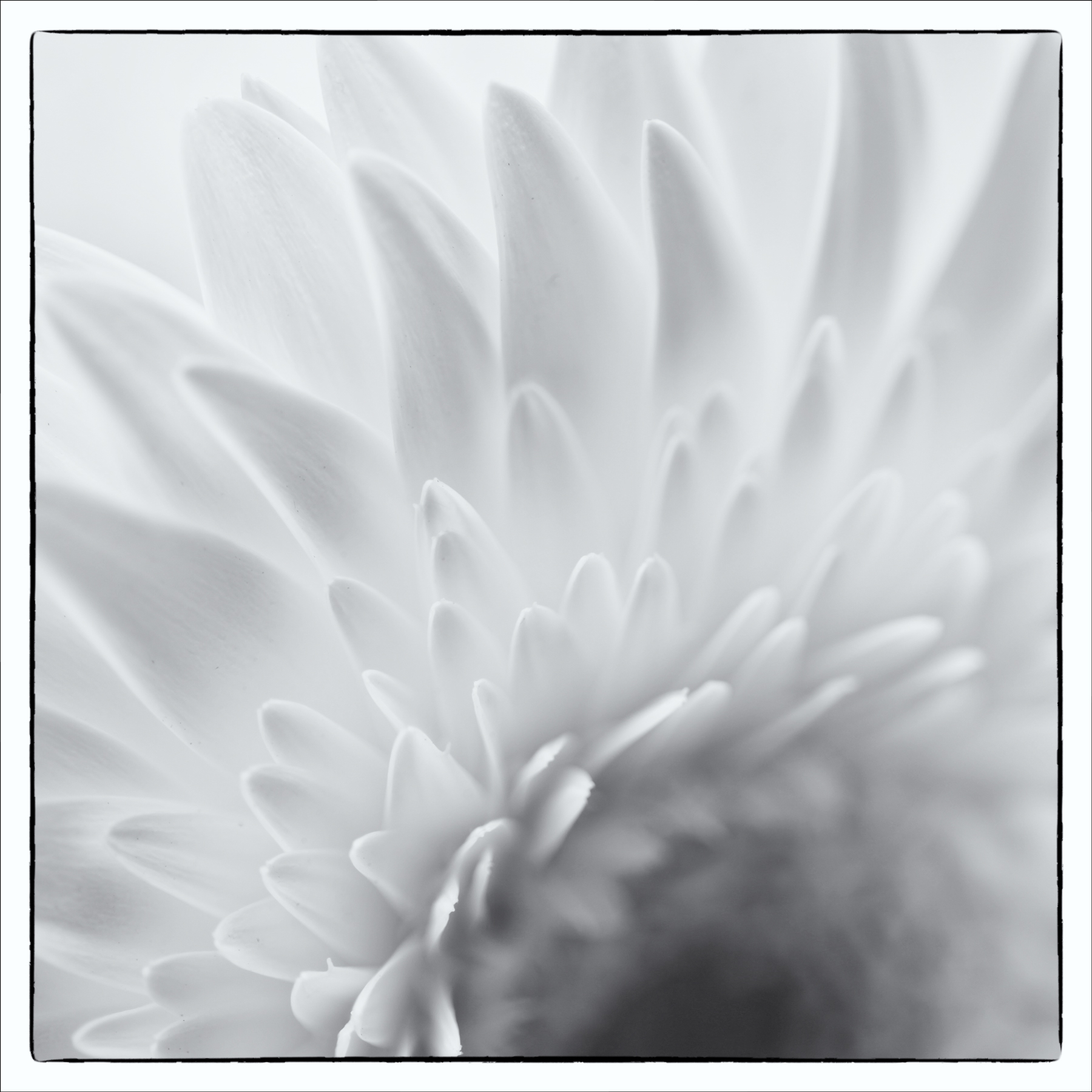 AL07207