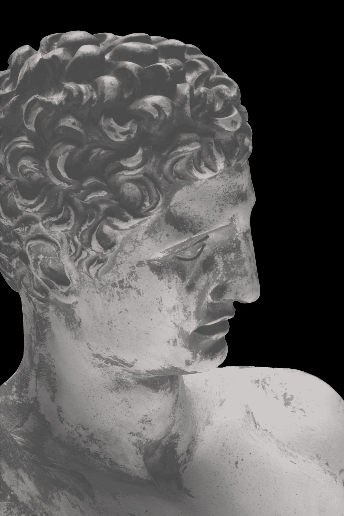 AL07339 (AD010021)