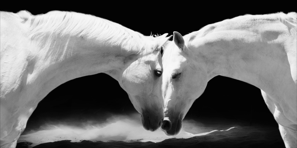AL10094BW