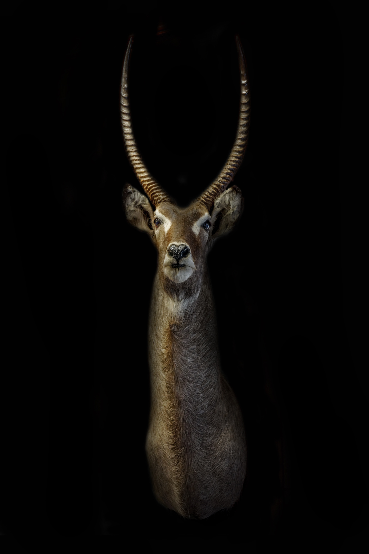 AL04921