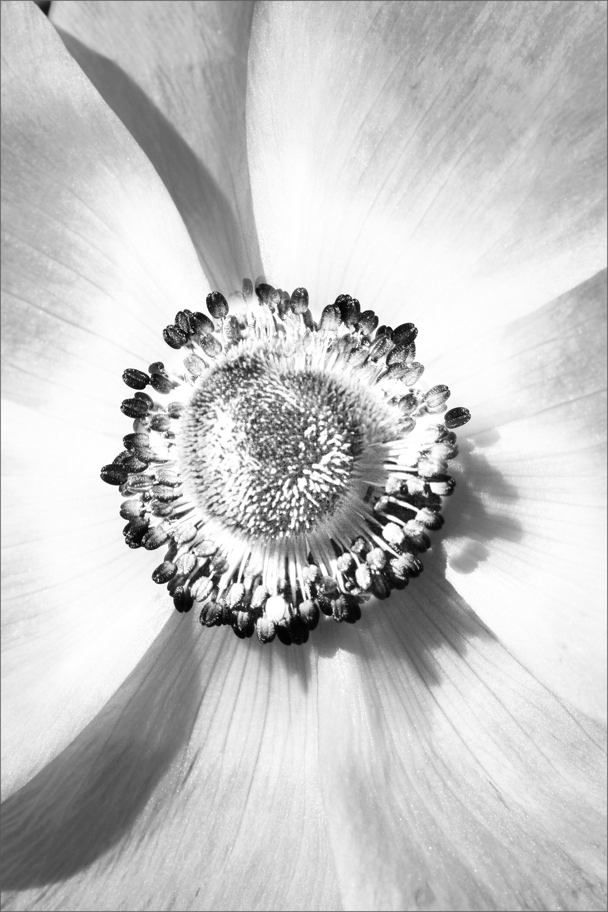 AL07932MBW_E