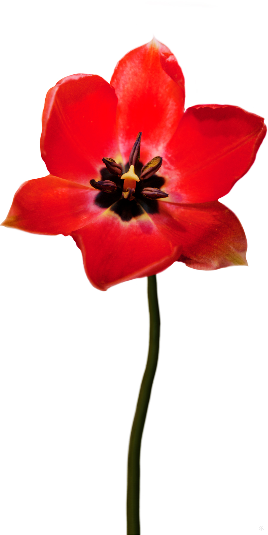 AL03778CWBG