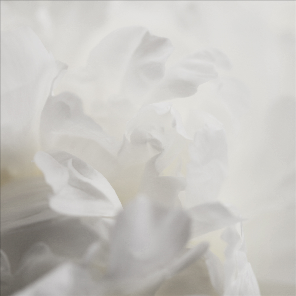 AL05312CSQ