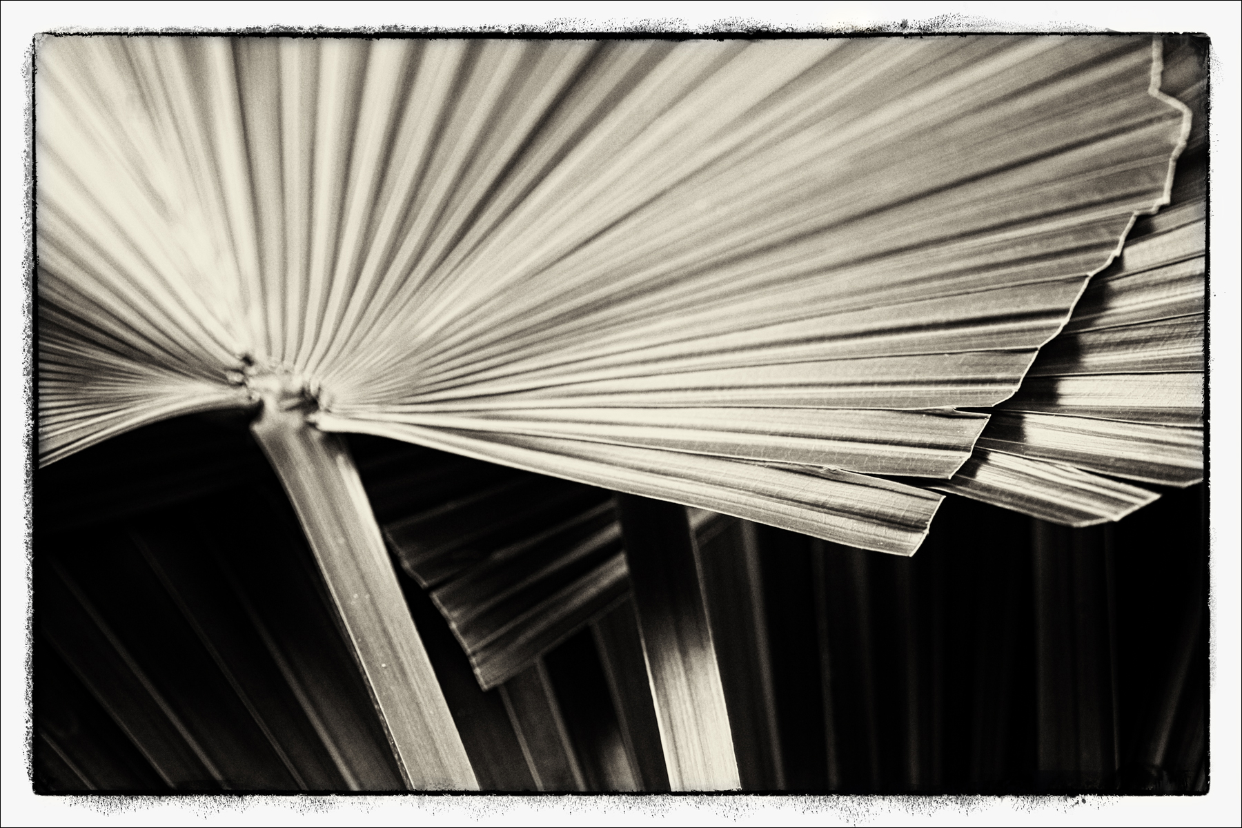 AL05616_FMH