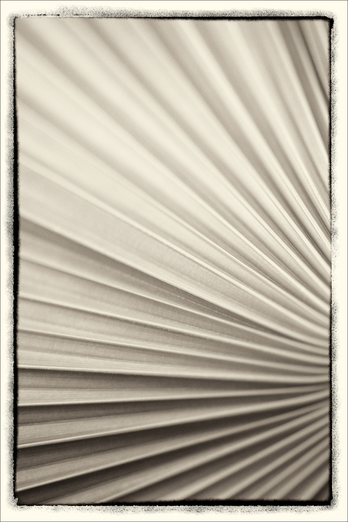 AL05622