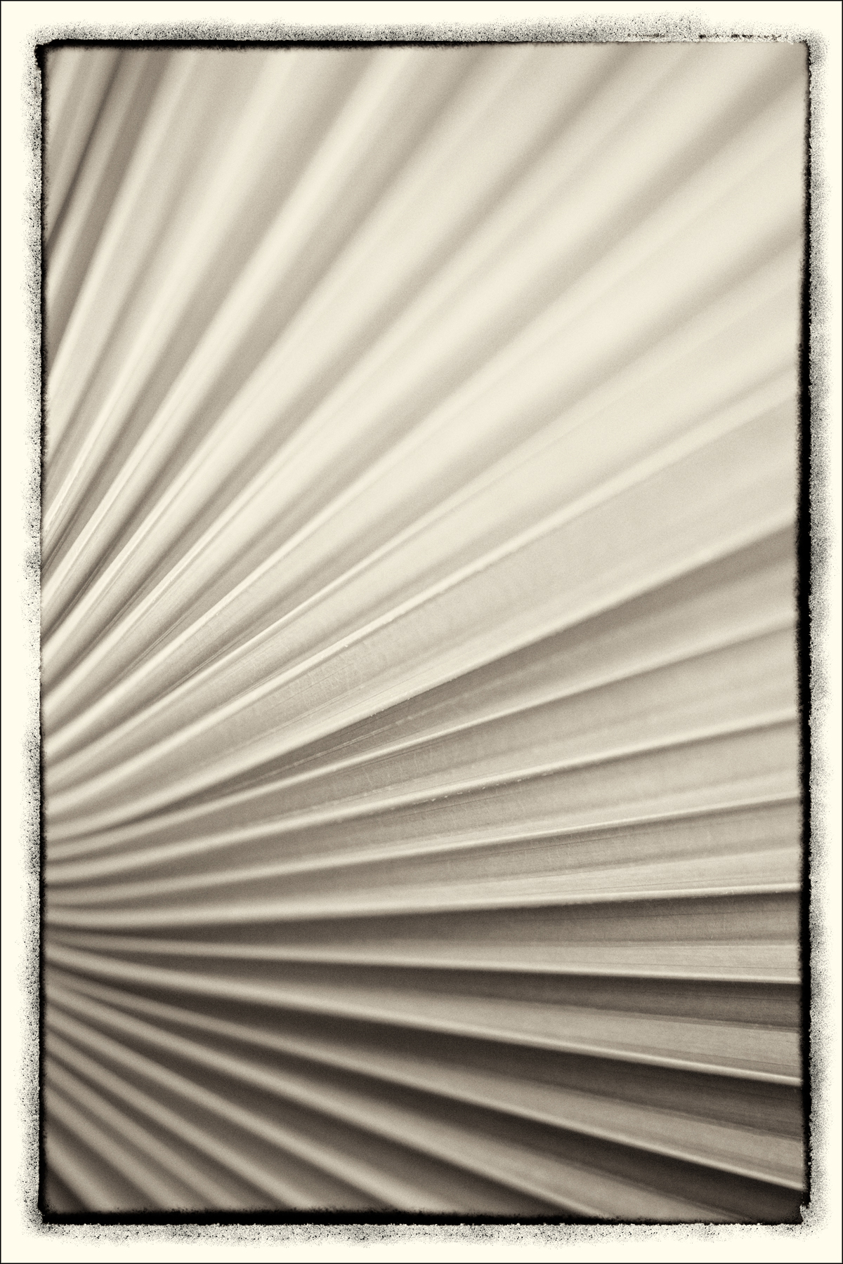AL05624_RL