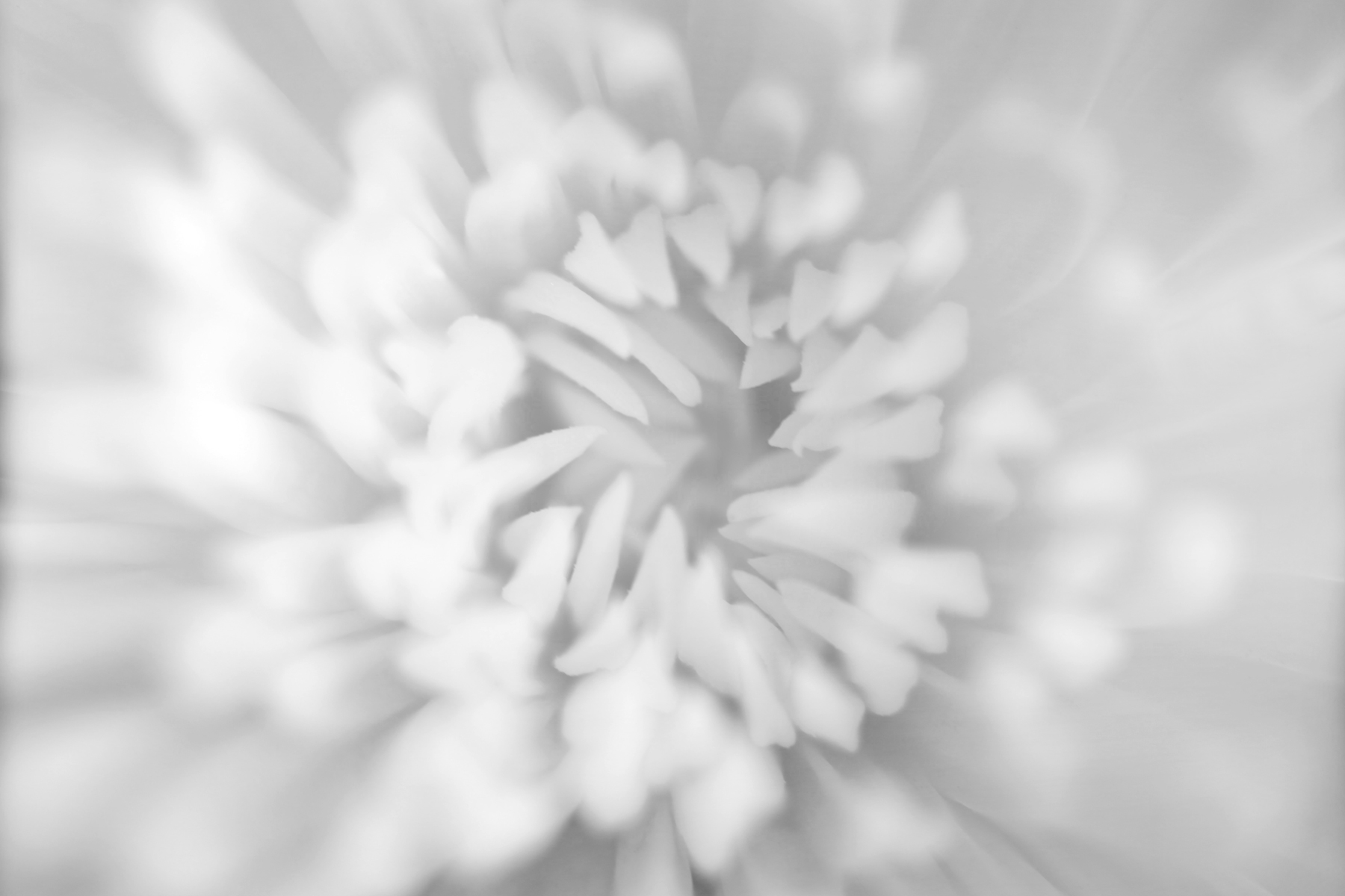 AL05857