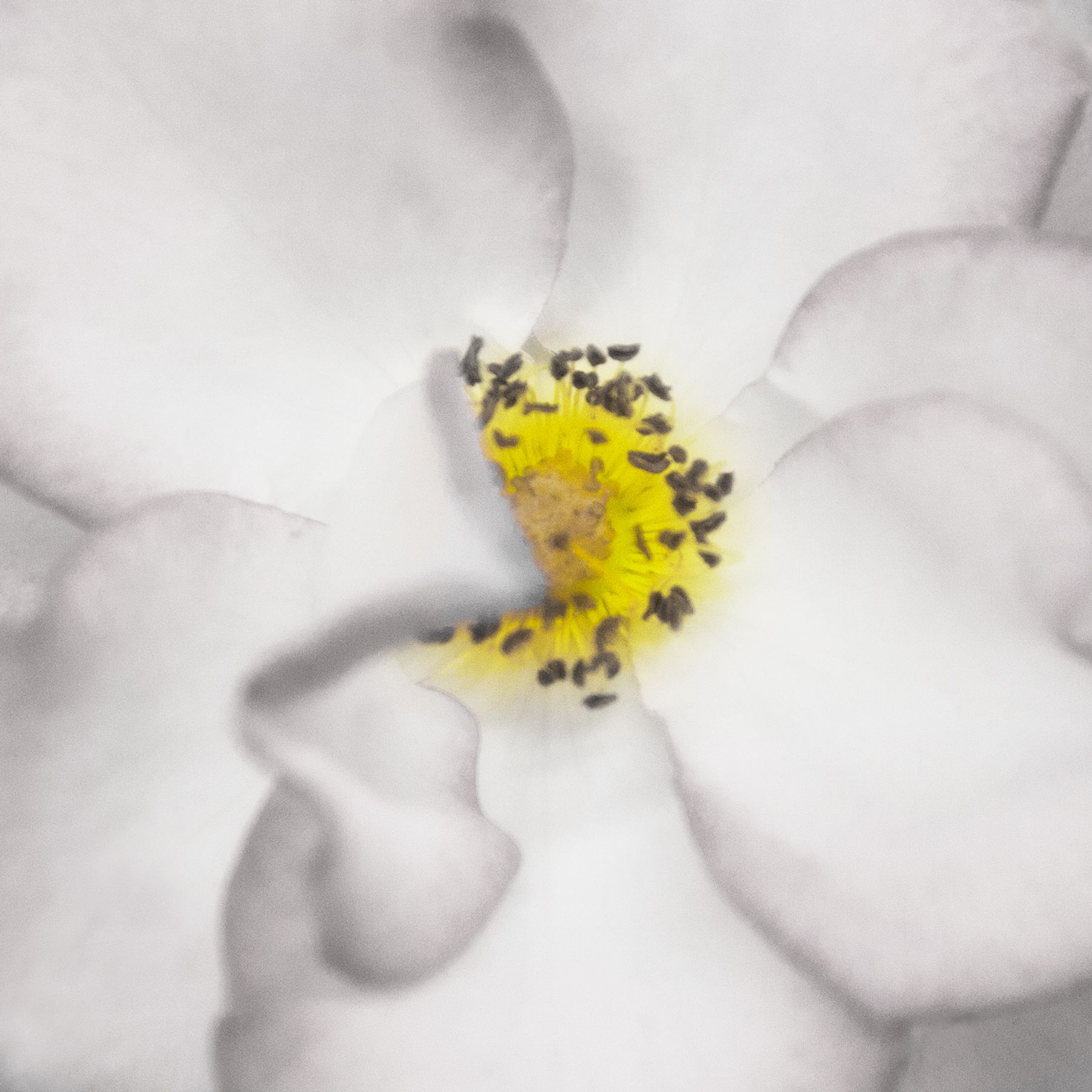 AL07214