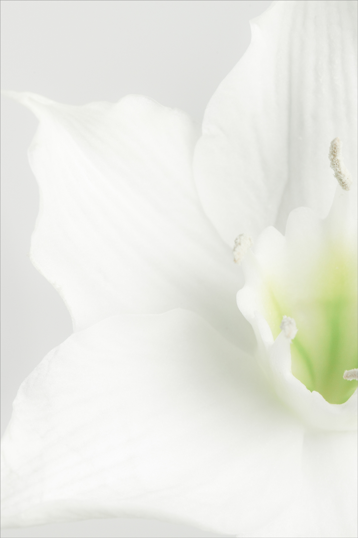 AL07229L