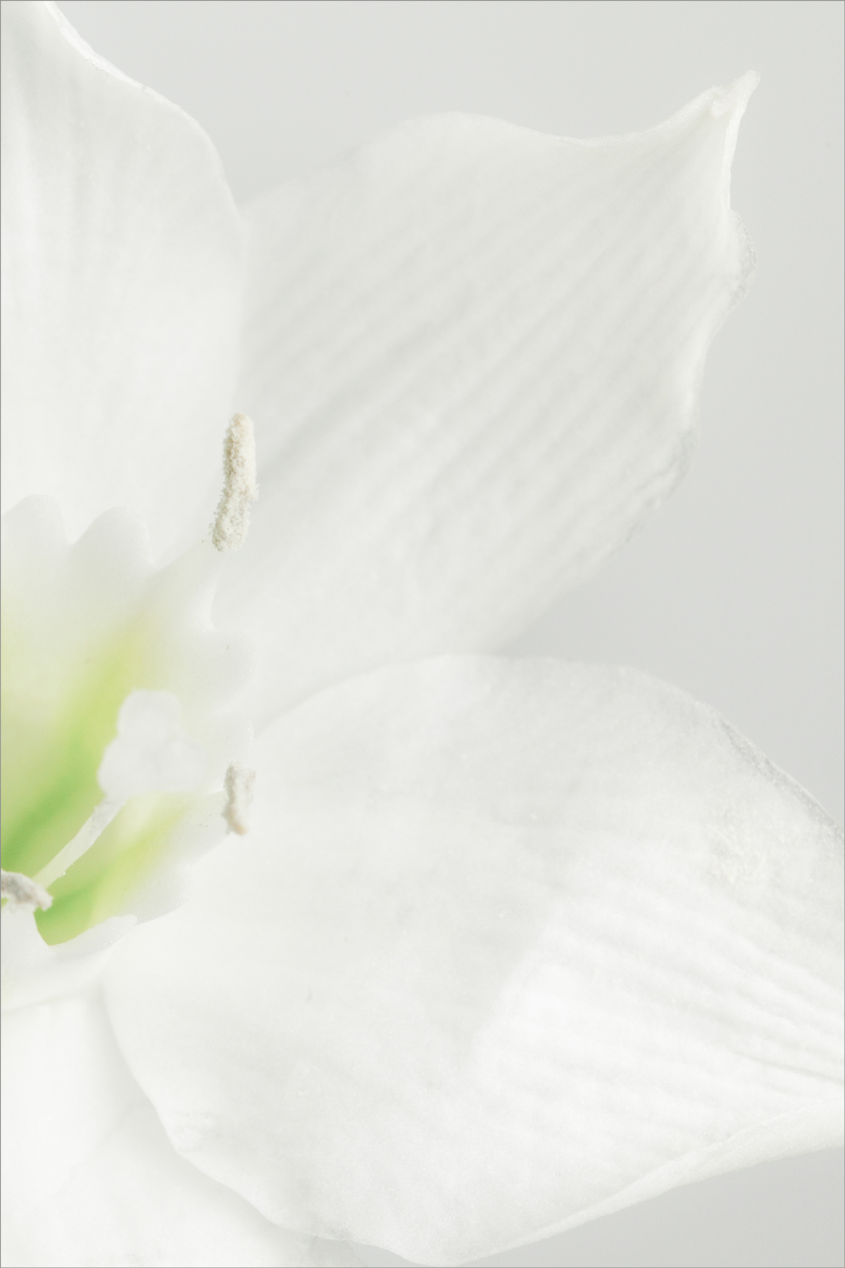 AL07229R