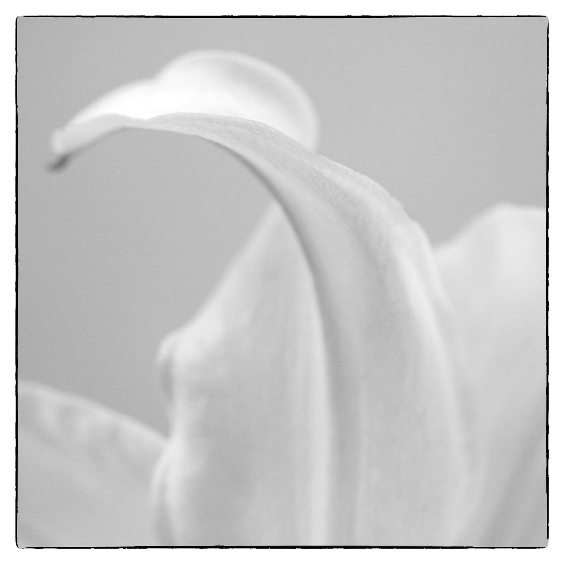 AL07836