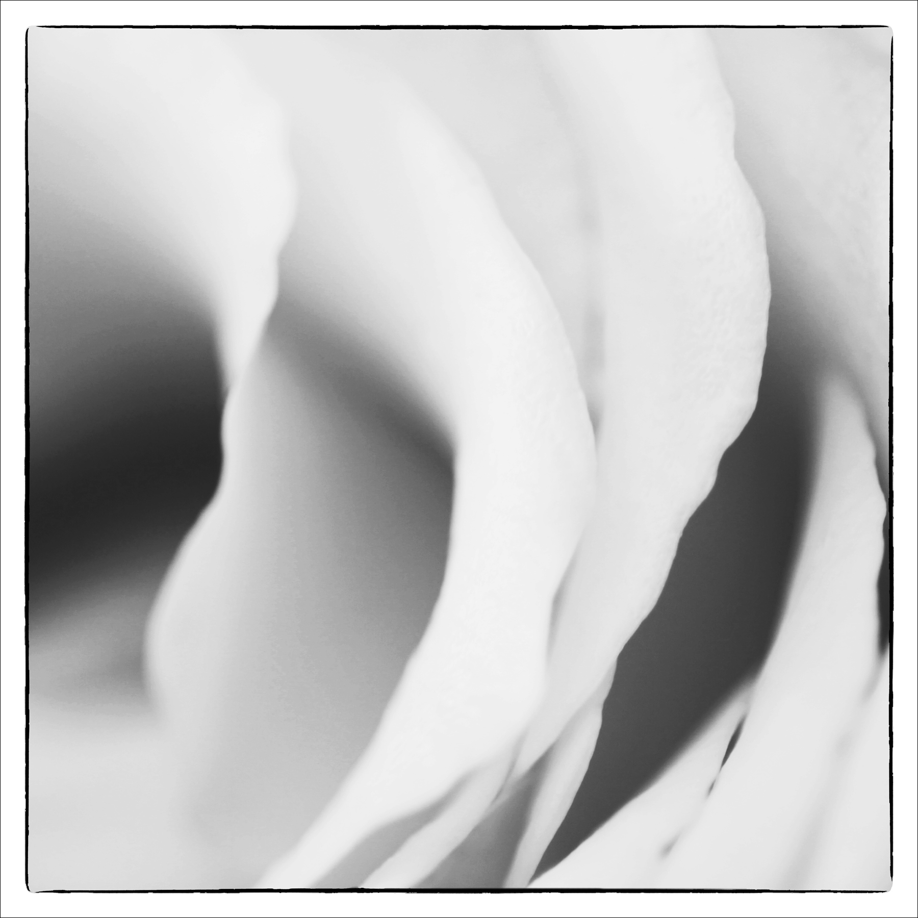 AL07839
