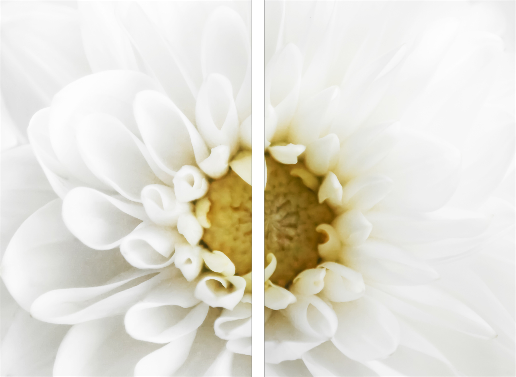AL07876_SO201