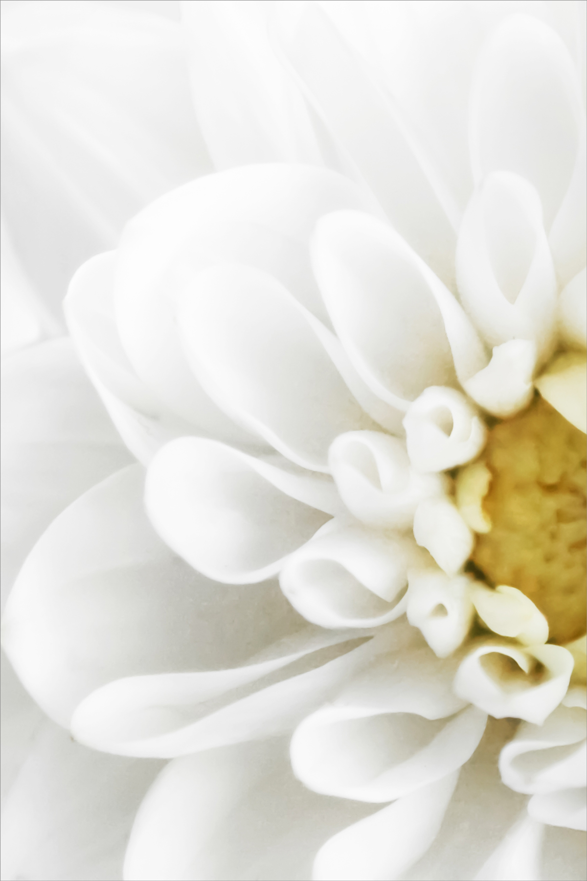 AL07876_SO201L