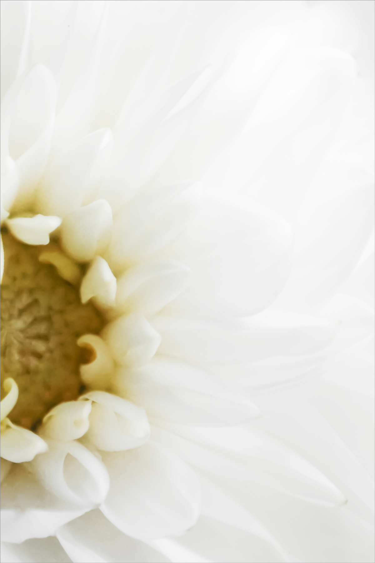 AL07876_SO201R
