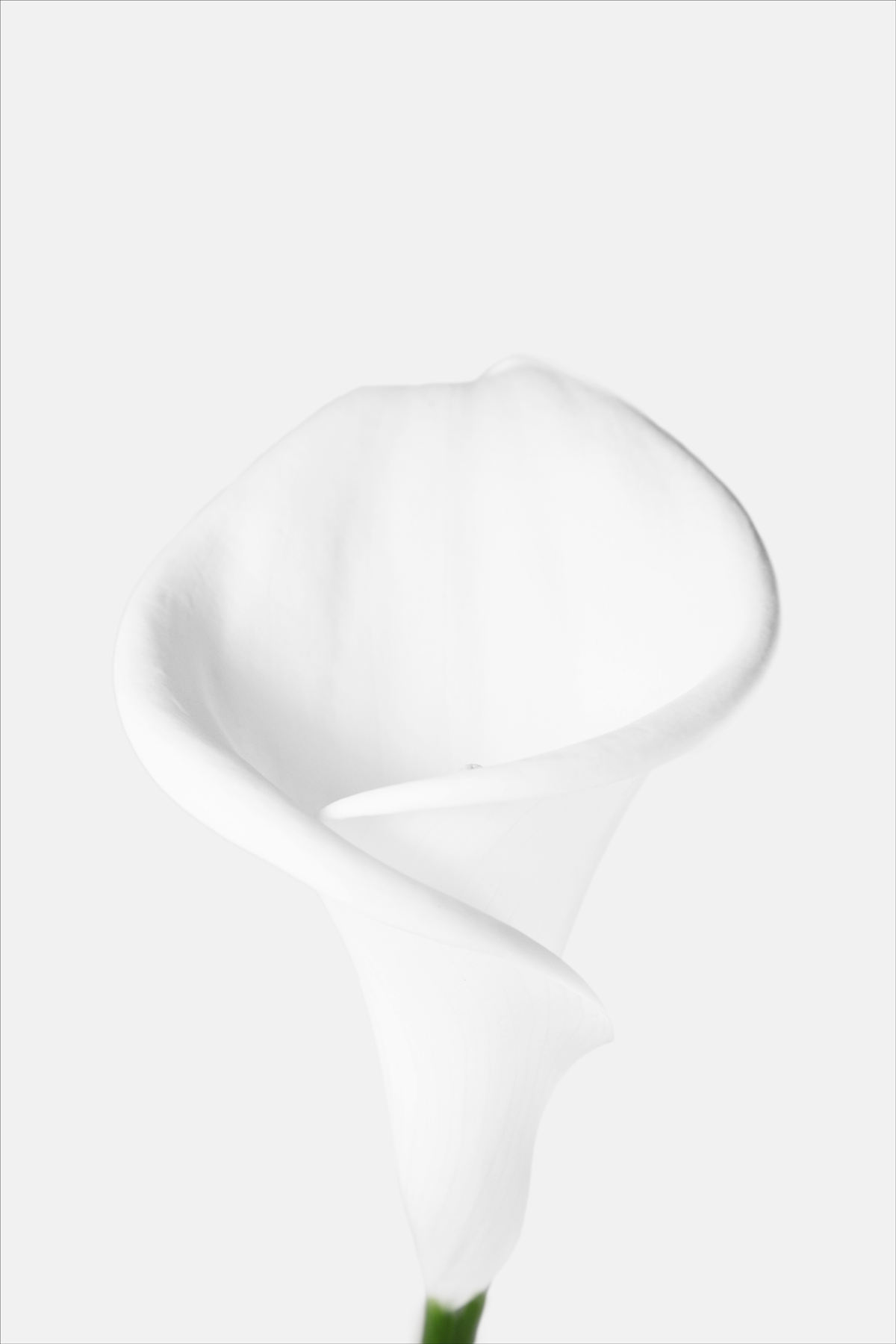 AL09535