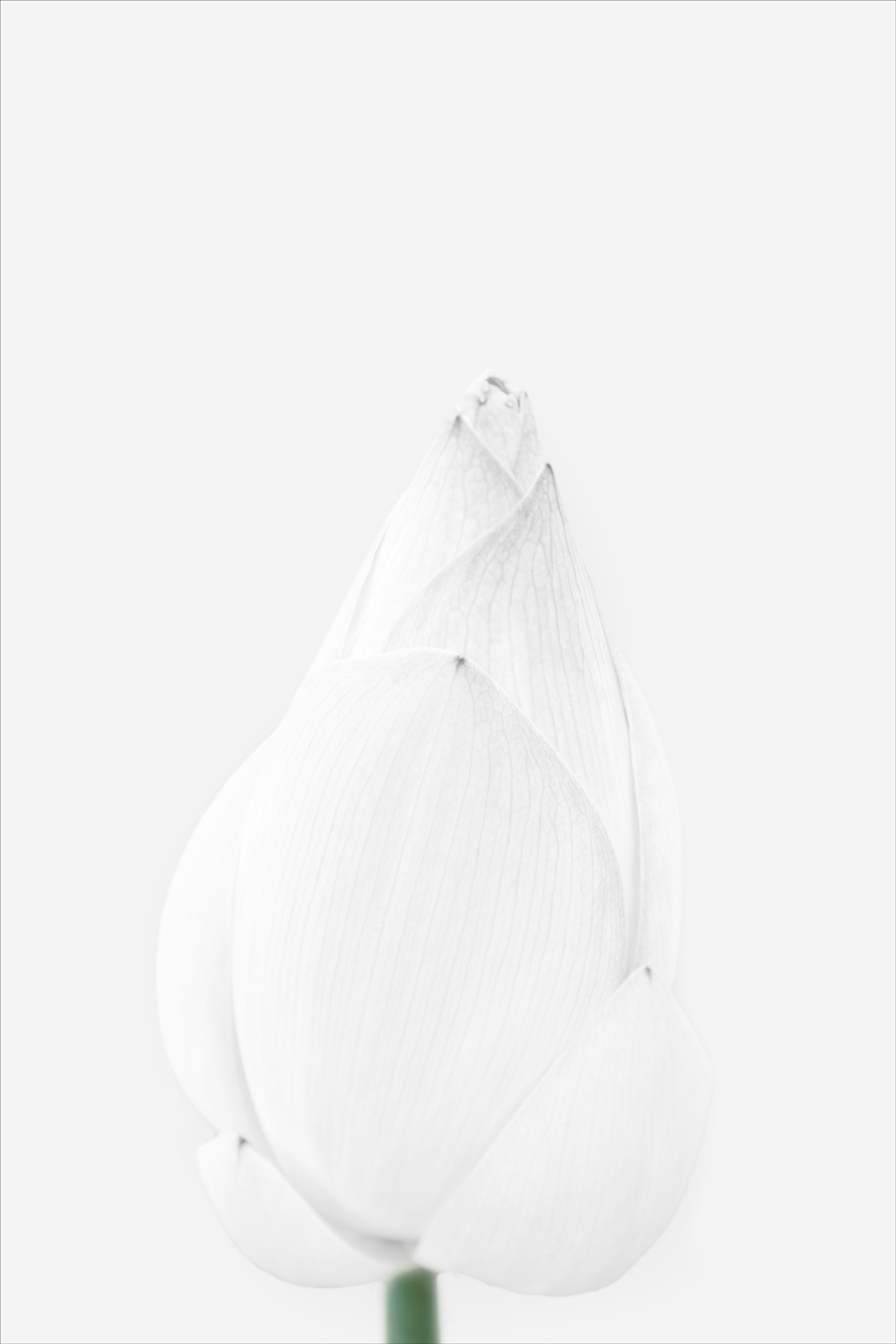 AL09579