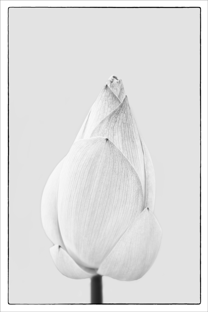 AL09579_FM