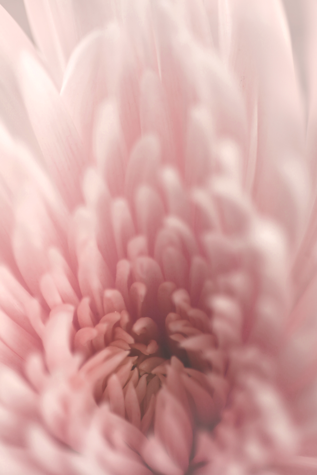 AL09652