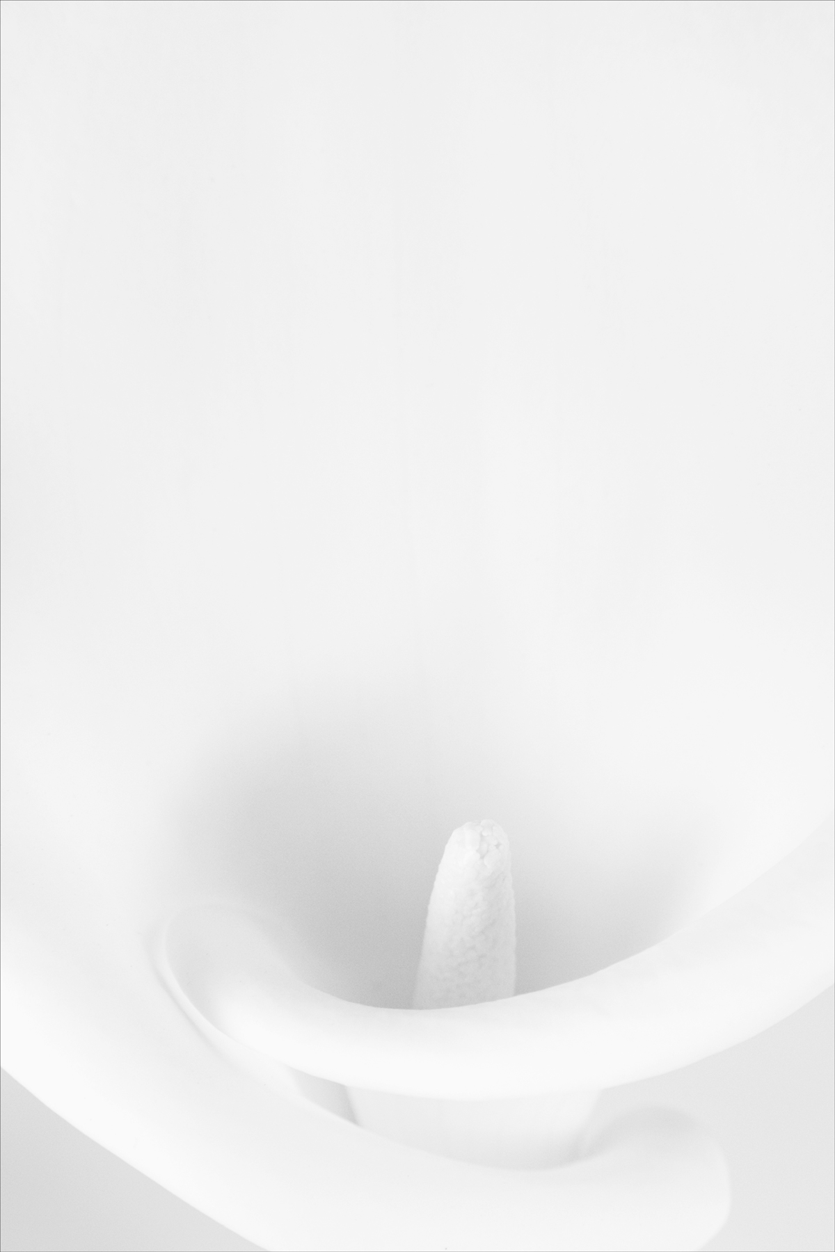 AL09696
