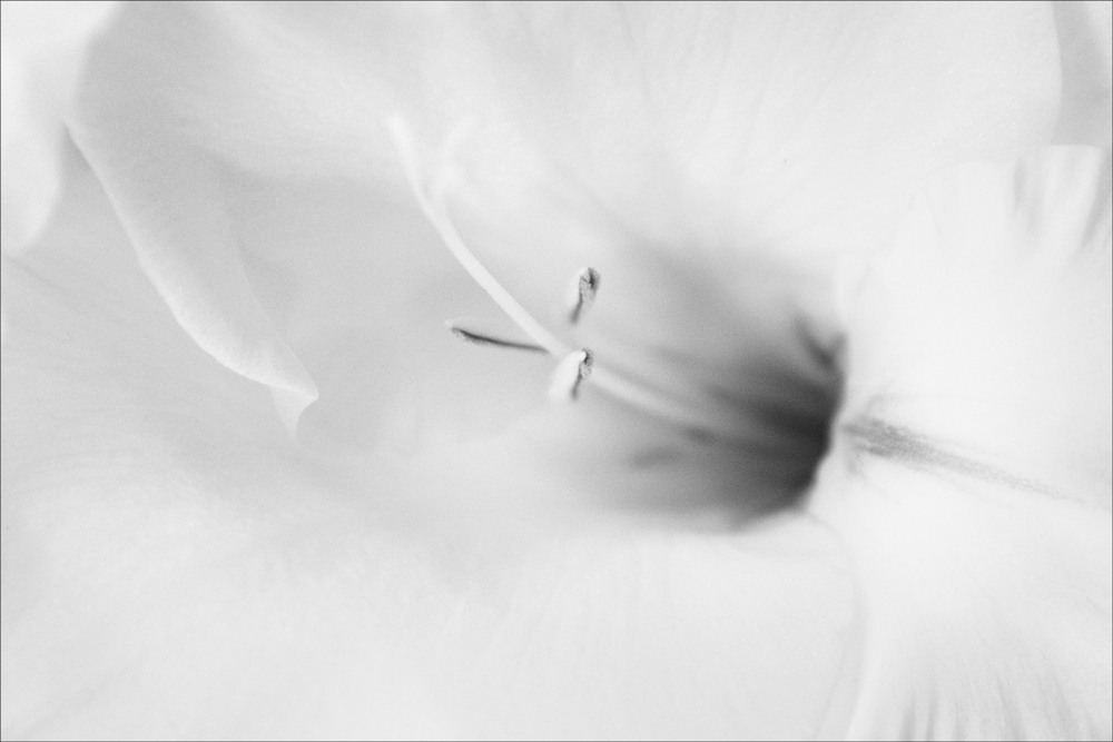 AL09697H_DK
