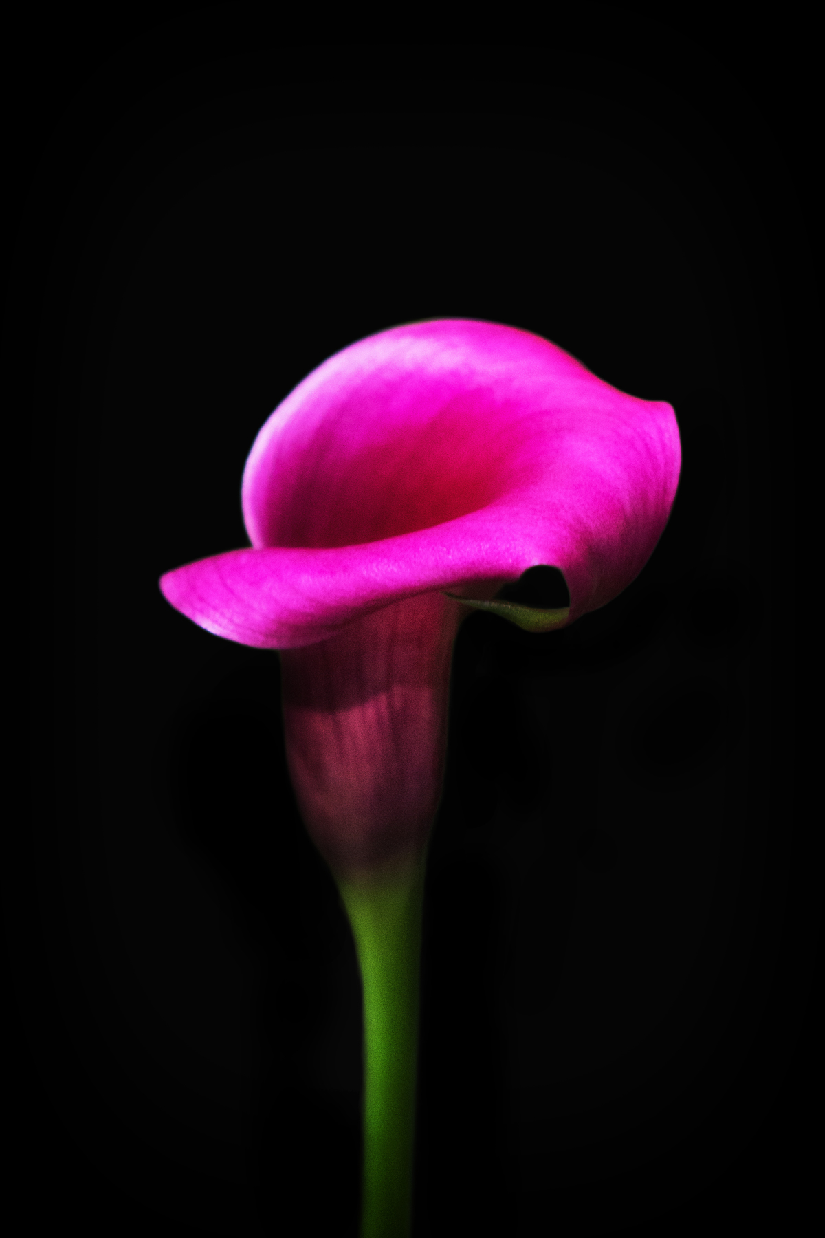 AL09797