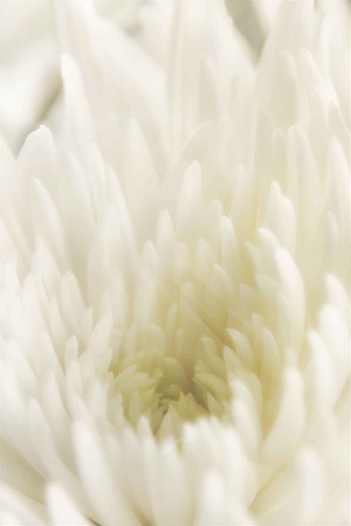 AL09802V