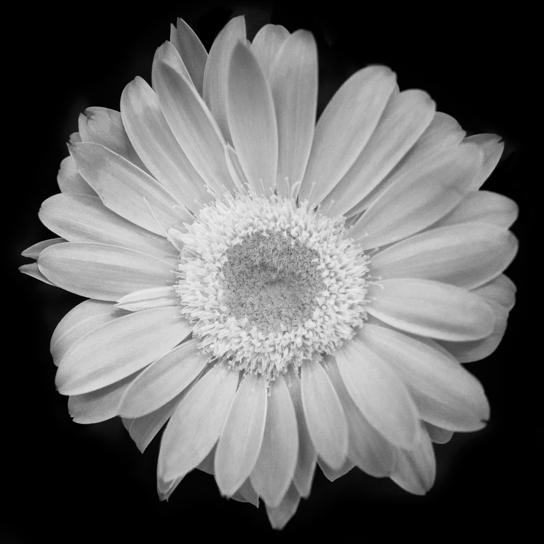 AL09952BBG_SQ