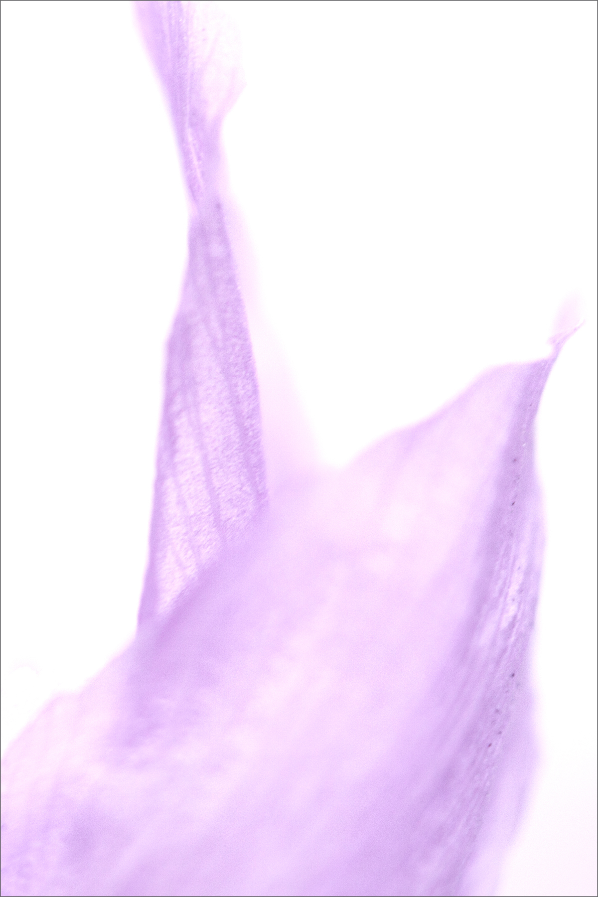 AL10024