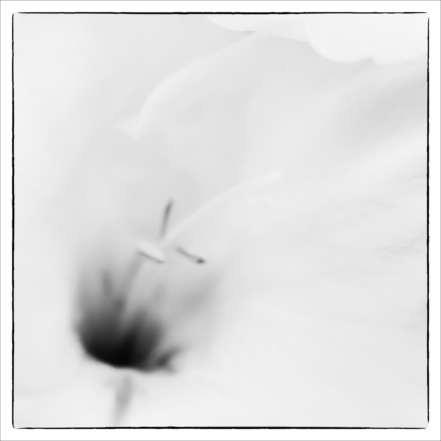 Al07838