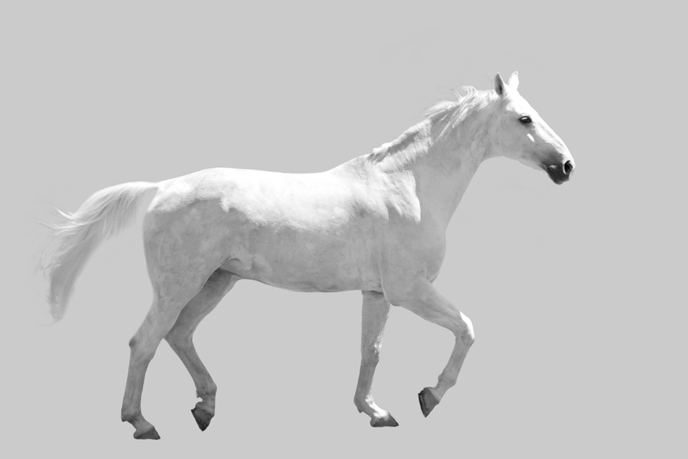 AL00084